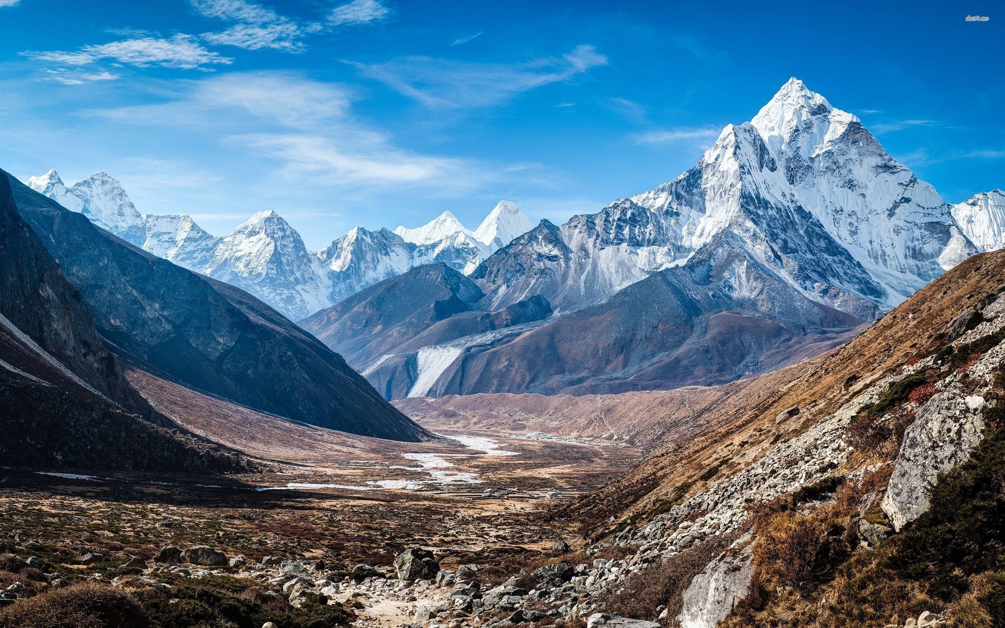 Unveiling the Hidden Treasures of the Himalayas: Nature's Gift to Wellness - Samsara Organic